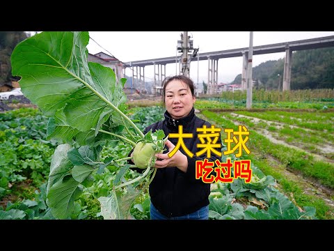 摘菜球炒臘肉，媳婦做一道家常菜，家人吃得津津有味