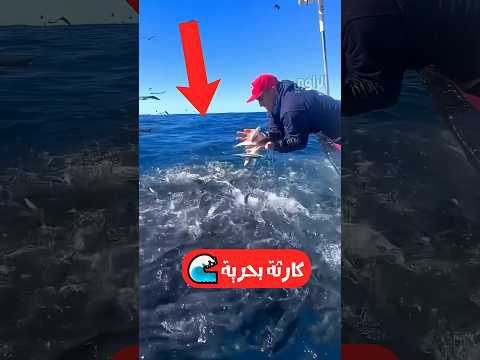 لو شوفت ده في البحر اهرب فورًا! 😱🌊