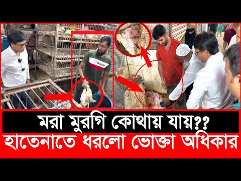 ম-রা মুরগি কোথায় যায়? হাতেনাতে ধরল ভোক্তা অধিকার | Daily Issues | Vokta odhikar | ভোক্তা অধিকার