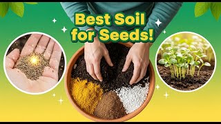 Best Soil for Planting Seeds | How to Improve Soil Quality for Better Growth