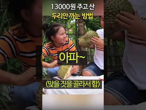 두리안 잘 까는 방법