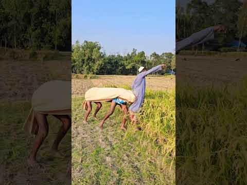 The man entered the paddy field
