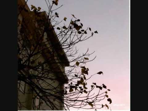 白夜行　白夜を行く