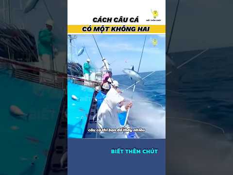 Họ câu cá không cần mồi gắn lưỡi câu mà cứ nhấc liên tục #bietthemchut
