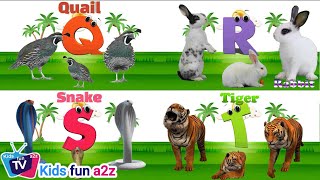 ABC Song | Learn Alphabet Letters with Nursery Rhymes | Phonics for Kids @Kidsfuna2zTV