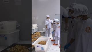 Anh Tippi đột nhập xưởng sản xuất của bà tuyết | Tippi TV #tippitv