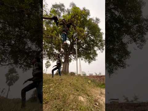 खेलते खेलते लड़कों का बॉल पेड पर अटक गया फिर जो हुआ???#shorts#shortsfeed#trending#1million