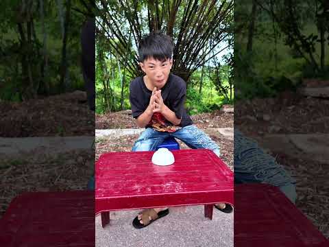 Quả chanh đã bị ăn - The lemon has been eaten #shorts