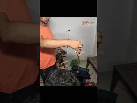 They even go from house to house and make old beds look like new! #bedrestorer #shortsvideo #inde...