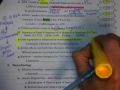Genetics and Protein Synthesis Concepts