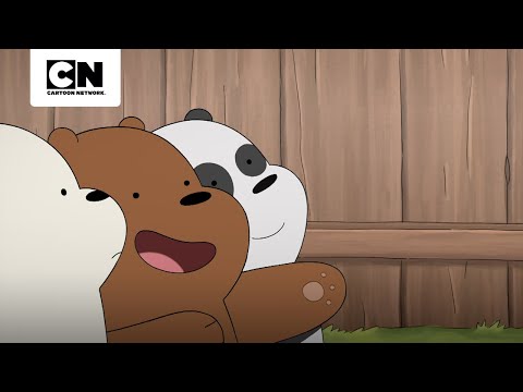 O TRABALHO MAIS SELVAGEM | URSOS SEM CURSO | CARTOON NETWORK