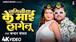 #VIDEO | नगिनिया के माई लागेलु | #Chandan Chanchal & Feat. #Rani | New Bhojpuri Song 2025