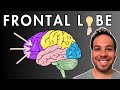 Brain Functions and Neurotransmitter Roles