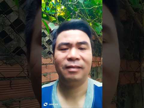 tao biết hết #tonghopvlogs631 #haihuoc #funny #comedy