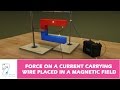 Magnetic Fields and Current Interactions