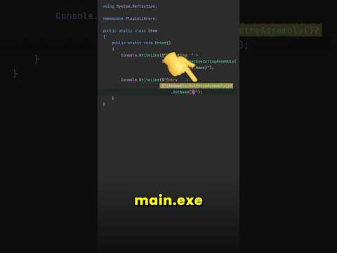 Assembly Info is tricky in .NET