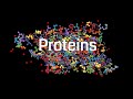 Understanding Proteins in the Human Body