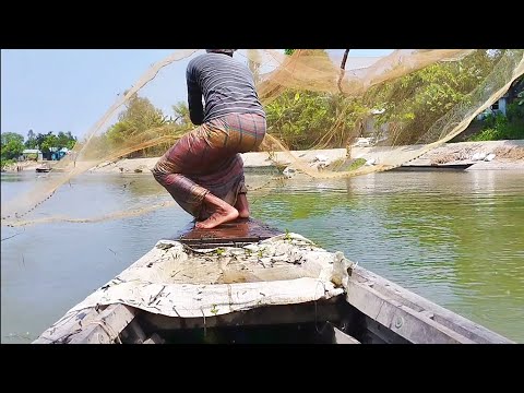 Village Fisher Cast Net Fishing Video | Traditional Cast Net Fishing in River | River Net Fishing