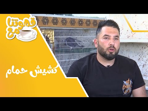 هواية كش الحمام وتفاصيل وأسرار أكثر #قهوتنا_مع كشيش حمام 🐦‍⬛🪽