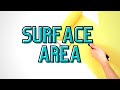 Exploring Surface Area of 3D Shapes
