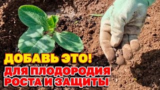 ЭТО ВАЖНО! ДОБАВЬ в ЛУНКУ с РАССАДОЙ от ФИТОФТОРЫ МУЧНИСТОЙ РОСЫ и ВРЕДИТЕЛЕЙ@obovsemsmarusya