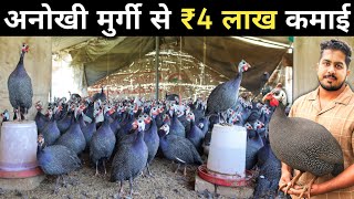 बिना खर्च के पलने वाली मुर्गी | Guinea Fowl | Guinea Fowl Farming in India