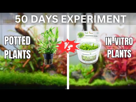 I Tested Potted Plants Against Lab Plants! Here's What Happened