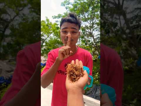 Ông nội tội nghiệp và Em bé dễ thương Rất buồn cười OBJ🍒🍓🍉🍎#cute#shortsfeed