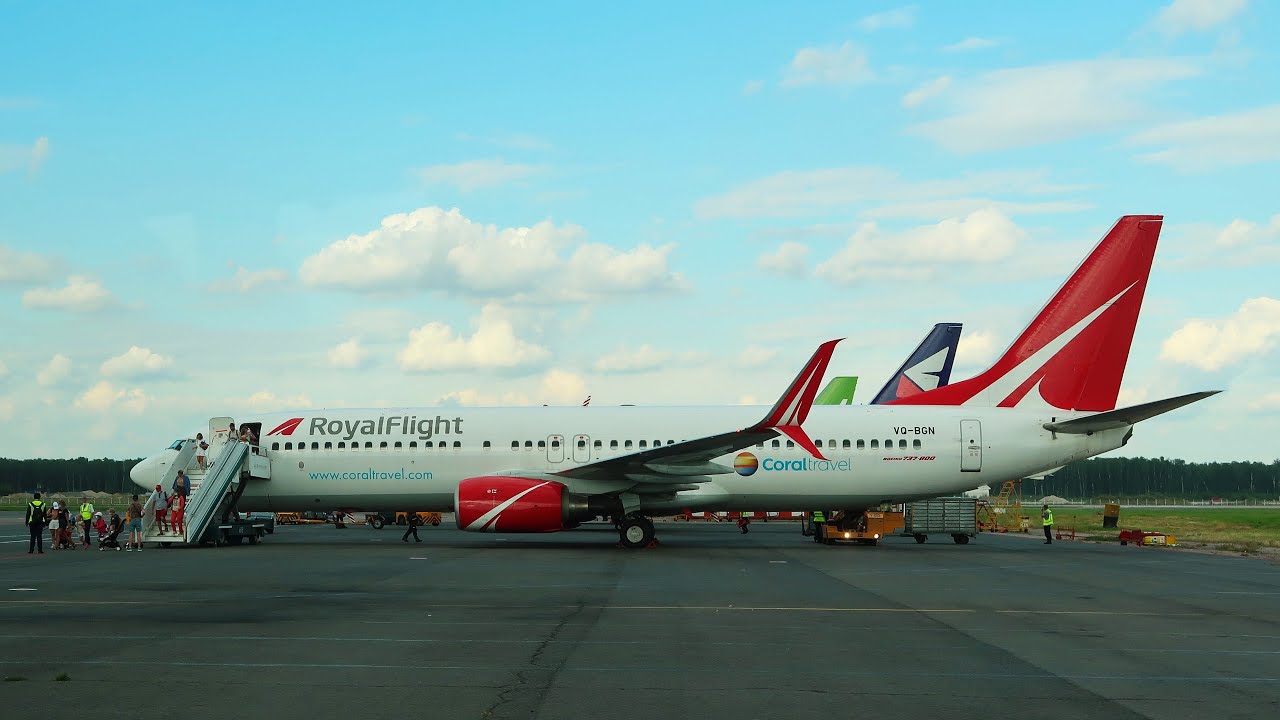 Boeing 737-800 а/к Royal Flight Рейс Сочи - Москва (Домодедово)