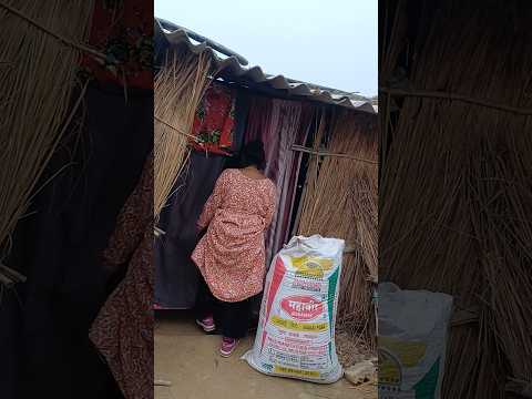 #TIMELAPSE: START to FINISH Alone BUILD LOG Cabin (Wooden House)....