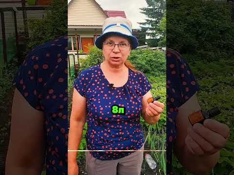 2 литра заменит тонну навоза #сад #огород #дача #рассада #урожай