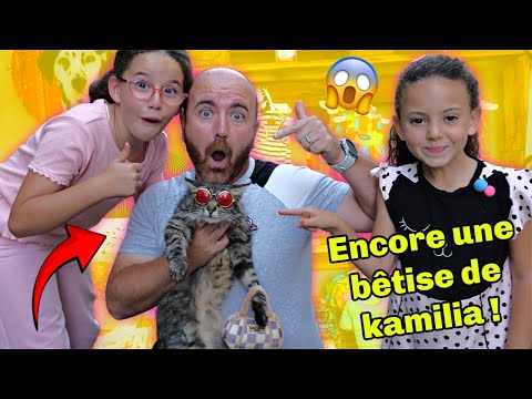 MASSILYA ENERVE - KAMILIA fait une BÊTISE pour faire des CADEAUX à KIT KAT