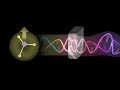 Exploring the Behavior of Electromagnetic Waves