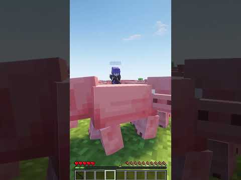 ENCONTRE O LOKOLOW NO MINECRAFT