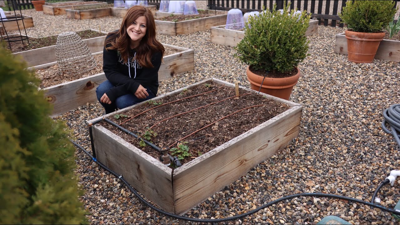 How to Install Drip Irrigation in Raised Beds!