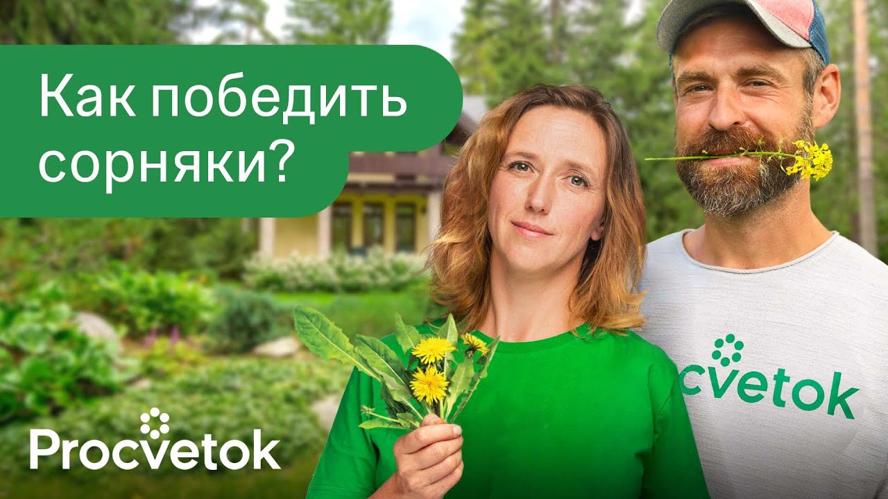 30 минут просмотра или годы борьбы с сорняками секреты чистого огорода и полезного компоста