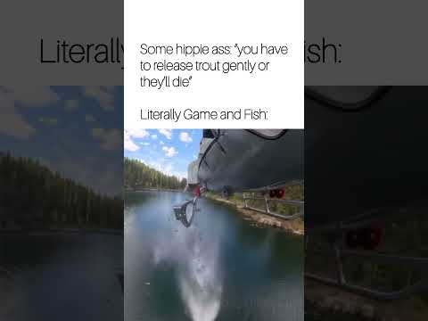Let em fly