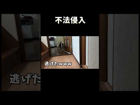 不法侵入