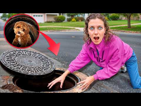 My DOG STUCK in SEWER...will he be okay