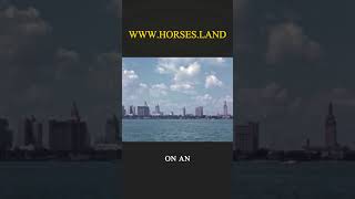 The Invention of Miami