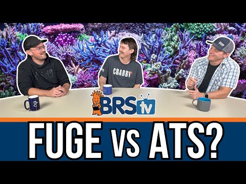 BRStv: Are you TEAM FUGE or TEAM ATS?