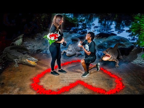 Secret Engagement, Did She Say Yes?!