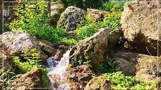 Explore the mountains and forests with cool, clear streams