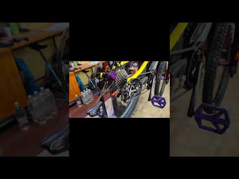 Spin wheel - JNT Bike Serv