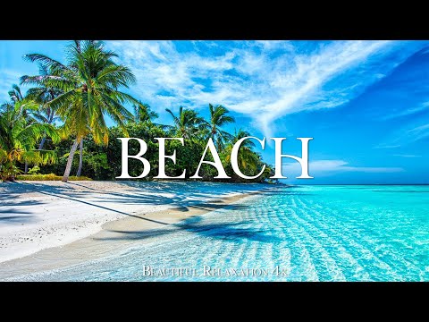 🌴 Tropical Beach 4K Relaxation Film - Relaxing Piano Music - Natural Landscape 🌊