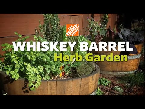 How to Make a Garden Half Barrel Whiskey Planter