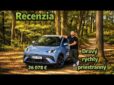 Predator v meste BYD Dolphin Surf Comfort 46 kWh LFP