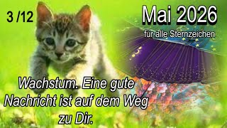 Mai 2026 | 3/12, Deine Erdung in Zeiten des Wandels und Überganges.