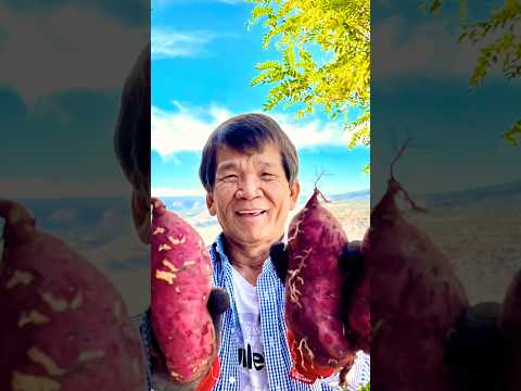 Harvested 25 Pounds Of Sweet Potatoes Grew In Basket! #sweetpotato  #garden #gardeningtips #shorts