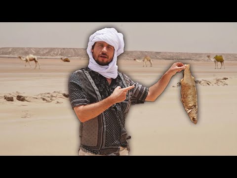 ¿Por qué hay pescados bajo la arena del desierto del Sahara? | DAKHLA 🇲🇦🇪🇭🇪🇸